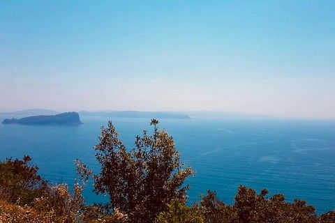 Best Of The Hawkesbury - 3 Day River Adventure - Accommodation Coffs Harbour 18