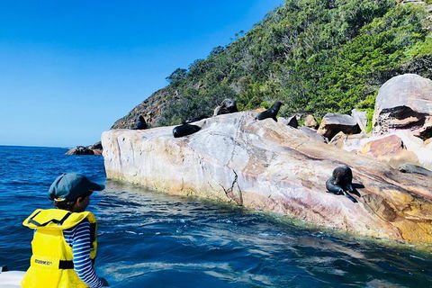 Best Of The Hawkesbury - 3 Day River Adventure - Accommodation Coffs Harbour 12