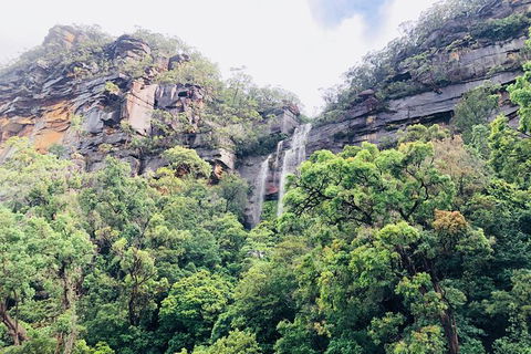 Best Of The Hawkesbury - 3 Day River Adventure - Accommodation Coffs Harbour 15