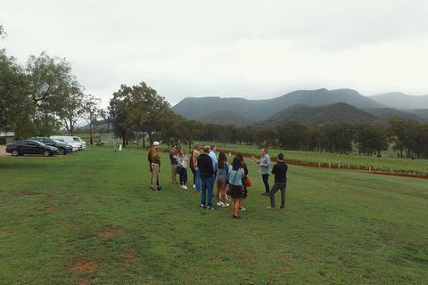 Hunter Valley Private Tour Including Wine, Chocolate, Cheese, Vodka, Gin Tasting - Accommodation Coffs Harbour 10
