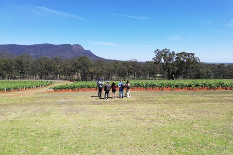 Hunter Valley Private Tour Including Wine, Chocolate, Cheese, Vodka, Gin Tasting - Accommodation Coffs Harbour 4