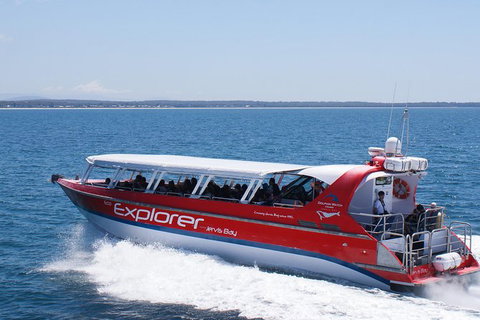 Whale Watching Jervis Bay - Accommodation Coffs Harbour 1