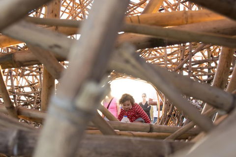 A Full Day In Sydney With A Local: Private & Personalized - Accommodation Coffs Harbour 5