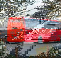 SkyBus Byron Bay Express - Accommodation Coffs Harbour