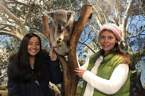 Australia Multi-City Attractions Pass - Accommodation Coffs Harbour 2