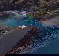 Jervis Bay Passage Tour - Accommodation Coffs Harbour