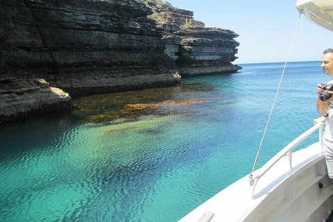 Jervis Bay Passage Tour - Accommodation Coffs Harbour 14