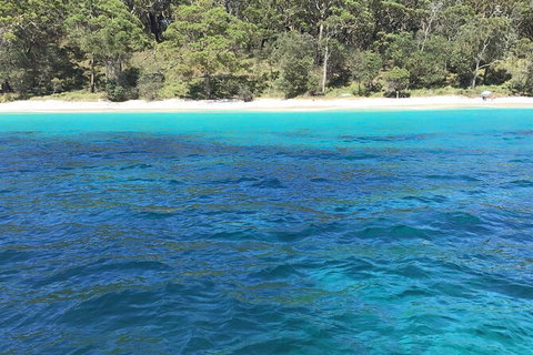 Jervis Bay Passage Tour - Accommodation Coffs Harbour 5