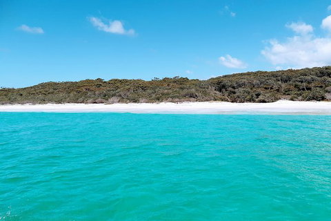 Jervis Bay Passage Tour - Accommodation Coffs Harbour 10