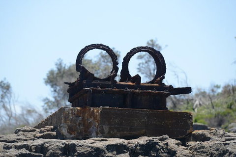 Jervis Bay Passage Tour - Accommodation Coffs Harbour 4