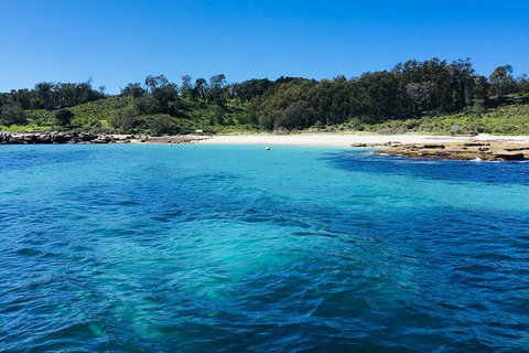 Jervis Bay Passage Tour - Accommodation Coffs Harbour 2