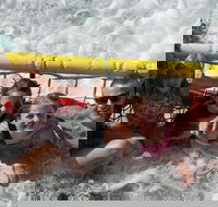 Jervis Bay Boom Netting and Dolphins Tour - Accommodation Coffs Harbour