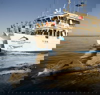 Jervis Bay Dolphin Watch Cruise - Accommodation Coffs Harbour