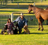 Meet The Animals - Accommodation Coffs Harbour