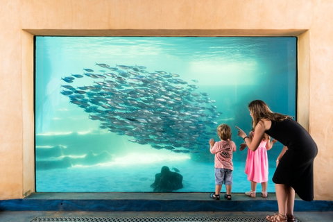 AQWA The Aquarium Of Western Australia - Accommodation Coffs Harbour 0