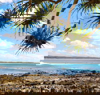 Arrawarra-Corindi Beach - Accommodation Coffs Harbour