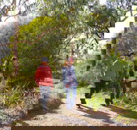 Arthurs Seat Circuit Walk - Accommodation Coffs Harbour