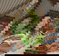 Birdworld Kuranda - Accommodation Coffs Harbour