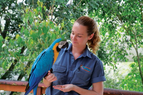 Birdworld Kuranda - Accommodation Coffs Harbour 1