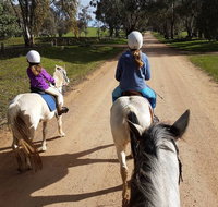 Bits and Boots Pony Rides - Accommodation Coffs Harbour