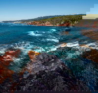 Boyds Tower to Saltwater Creek Walking Track - Accommodation Coffs Harbour