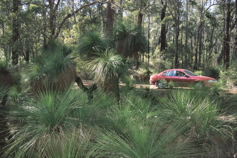 Bridgetown Jarrah Park - Accommodation Coffs Harbour 0