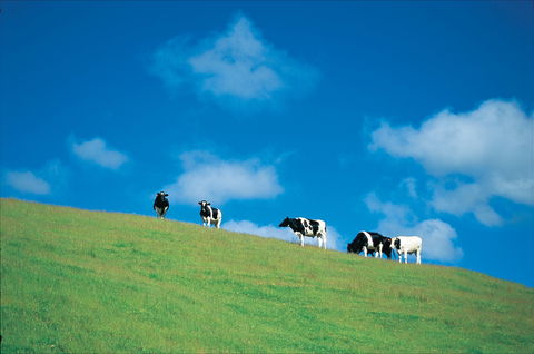 Bridgetown - Accommodation Coffs Harbour 0