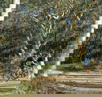 Bundanoon cycling route - Accommodation Coffs Harbour