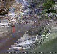 Butterfly Gorge Nature Park - Accommodation Coffs Harbour