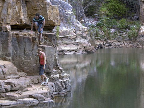 Butterfly Gorge Nature Park - Accommodation Coffs Harbour 0
