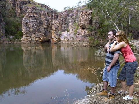 Butterfly Gorge Nature Park - Accommodation Coffs Harbour 2