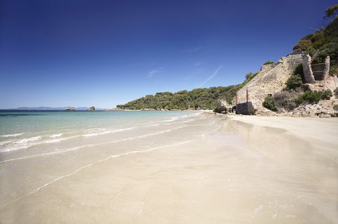 Cape Liptrap Coastal Park - Accommodation Coffs Harbour 1