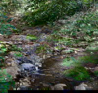 Cascades picnic area - Accommodation Coffs Harbour