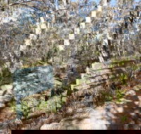 Cascades walking track and viewing platform - Accommodation Coffs Harbour
