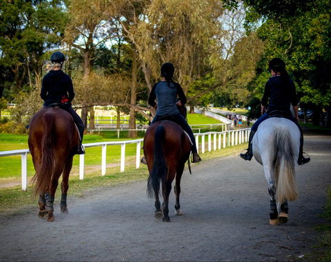 Centennial Stables - Accommodation Coffs Harbour 0