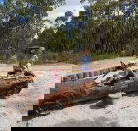 Crooked Brook Forest - Accommodation Coffs Harbour