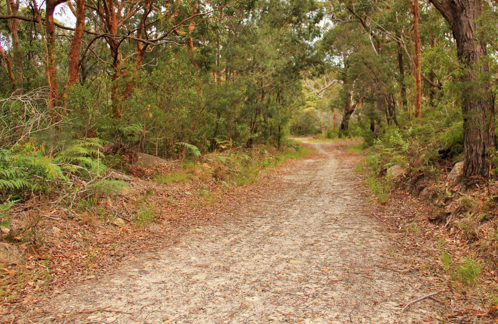 Killcare Heights NSW Accommodation Coffs Harbour