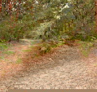 Daleys Point Walking Track - Accommodation Coffs Harbour