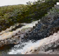 Davies Creek National Park and Dinden National Park - Accommodation Coffs Harbour
