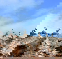 Dirk Hartog Island National Park - Accommodation Coffs Harbour