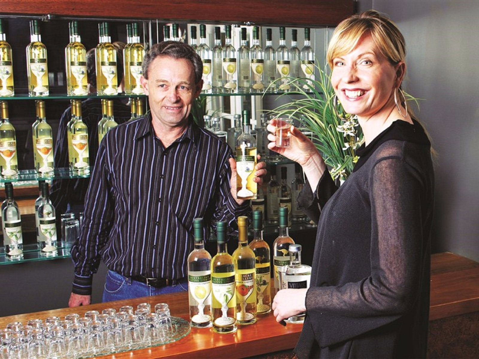 Erina NSW Accommodation Coffs Harbour