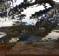 Duck Lagoon - Accommodation Coffs Harbour