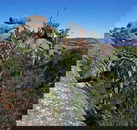 Evans Crown Nature Reserve - Accommodation Coffs Harbour