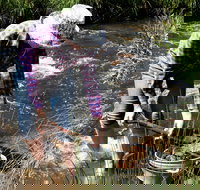 Fossicking - Accommodation Coffs Harbour