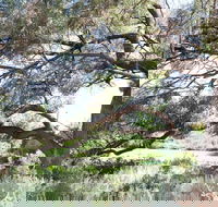 Gathercole Nature Reserve - Accommodation Coffs Harbour