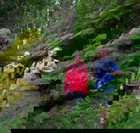 Grand Strzelecki Track - Accommodation Coffs Harbour