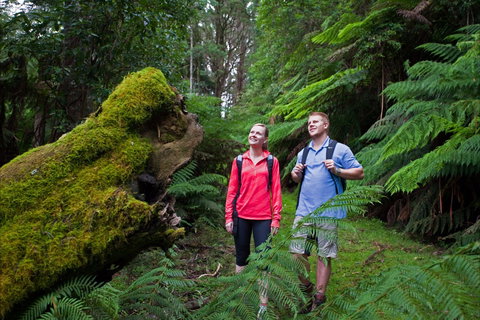 Grand Strzelecki Track - Accommodation Coffs Harbour 0