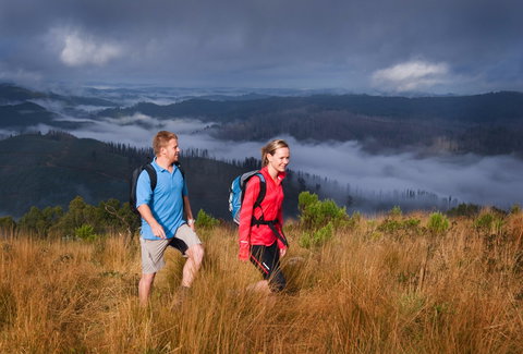 Grand Strzelecki Track - Accommodation Coffs Harbour 1