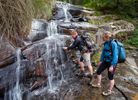 Grand Strzelecki Track - Accommodation Coffs Harbour 2