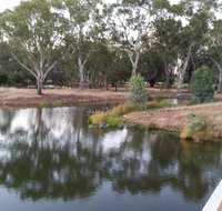 Green Corridor Walking Track - Accommodation Coffs Harbour